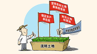 three land reforms 三块地 sān kuài dì