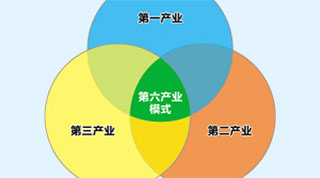 the senary sector 第六产业 dì liù chǎnyè