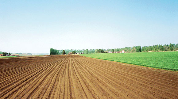 the fallow and rotation system plan is next on the agricultural reform agenda