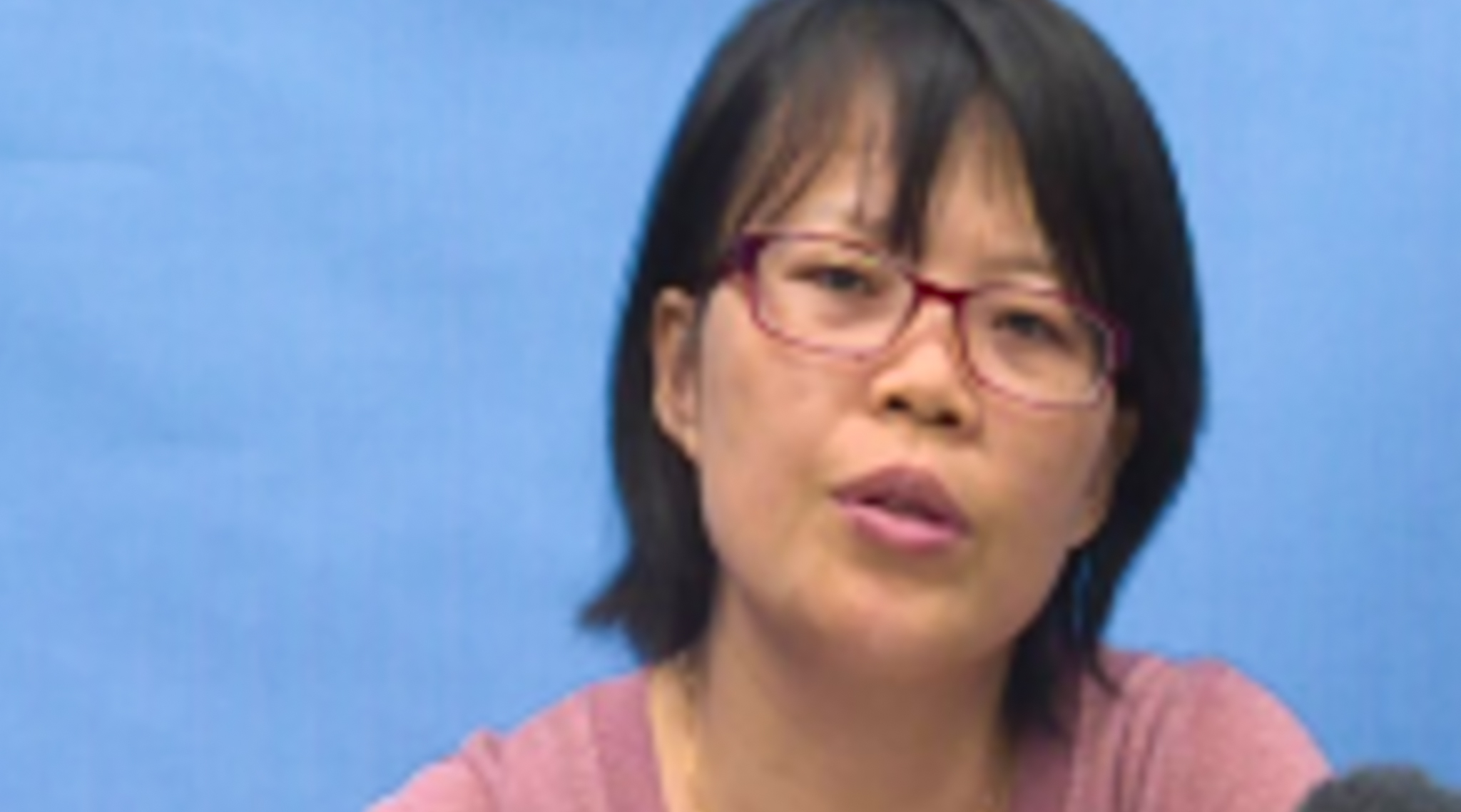 
Nie Pingxiang 聂平香 | MofCOM Research Institute researcher 
