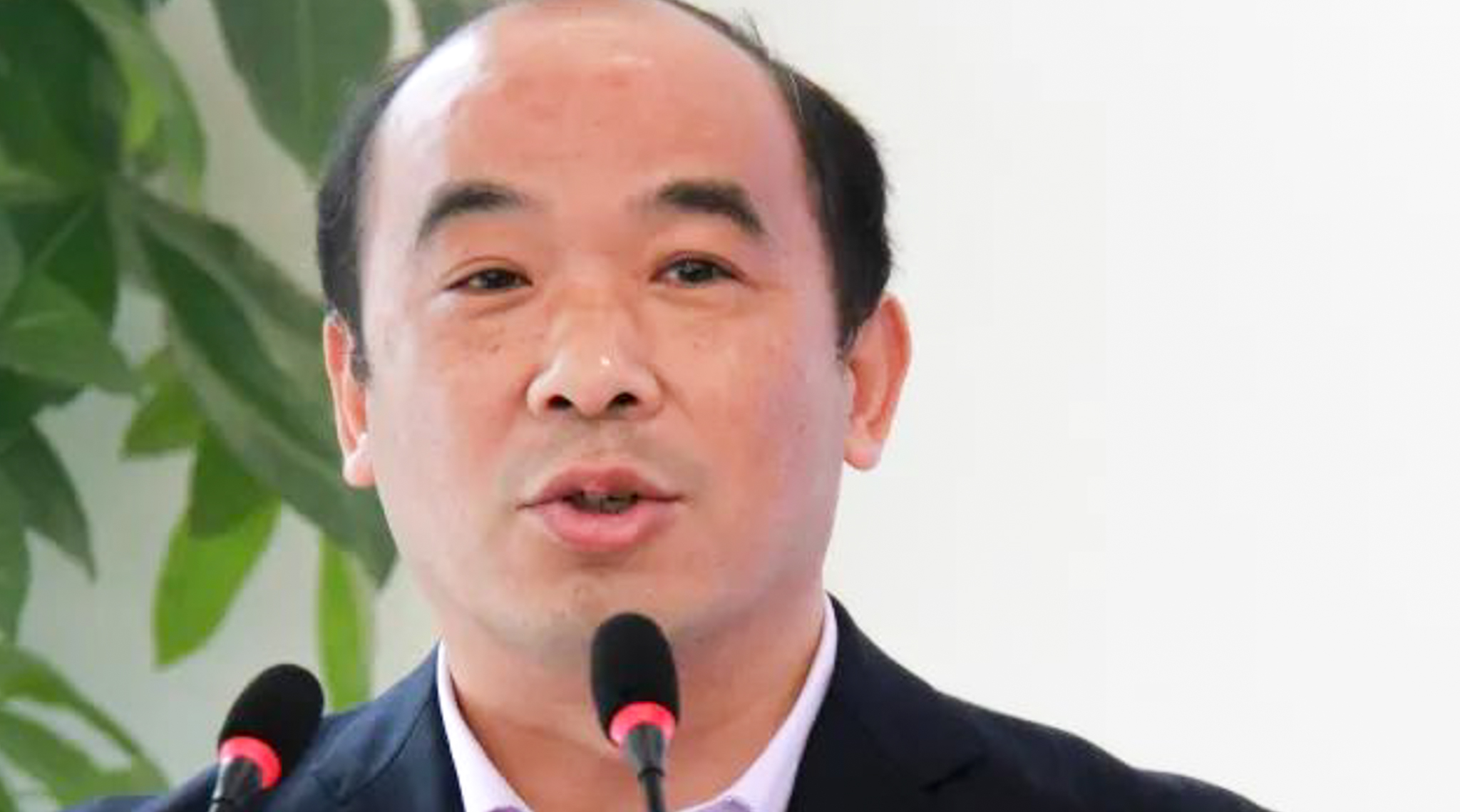 
Xiao Benhua 肖本华 | Shanghai Lixin University of Accounting and Finance Free Trade Zone Research Institute vice dean
