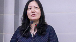 
Pu Ping 蒲俜 | Renmin University School of international Studies
